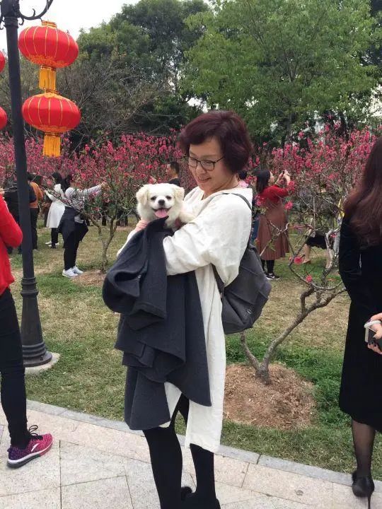 58歲的她，自駕房車旅居，一人兩犬，活成了自己喜歡的樣子